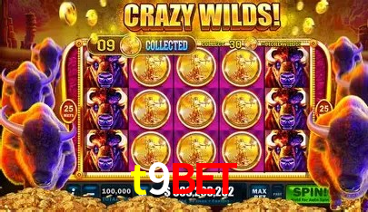 t9bet Salvador - Football